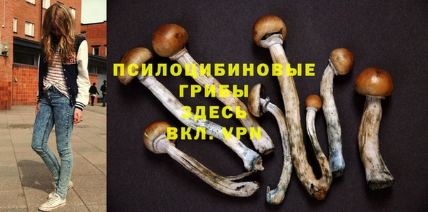 Альфа ПВП Баксан